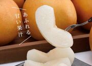 大玉新甘泉&nbsp;2.5kg箱(5～7玉入)【たにがみ農園】