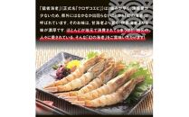 猛者海老 15匹×3パックセット【山根商店】