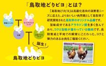 鳥取地鶏使用 キーマカレー 180g×5個セット