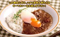 鳥取地鶏使用 キーマカレー 180g×5個セット