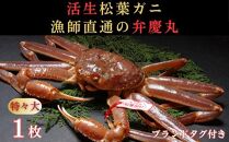 松葉ガニ活生「特々大1枚」ブランドタグ付き※着日指定不可※【弁慶丸】