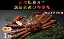 松葉ガニ活生「特大1枚」ブランドタグ付き※着日指定不可※【弁慶丸】