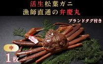 松葉ガニ活生「中1枚」ブランドタグ付き※着日指定不可※【弁慶丸】
