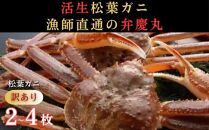 松葉ガニ 訳ありAセット※着日指定不可※【弁慶丸】