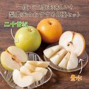 二十世紀と豊水の食べ比べセット 3kg【まえた農園】