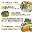 二十世紀と豊水の食べ比べセット 3kg【まえた農園】