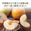 二十世紀と豊水の食べ比べセット 3kg【まえた農園】
