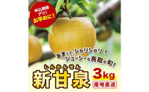 新甘泉&nbsp;3キロ【安田農園】