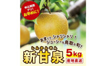 新甘泉&nbsp;5キロ【安田農園】