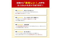 新甘泉&nbsp;5キロ【安田農園】