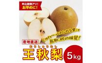 王秋梨 5キロ【安田農園】