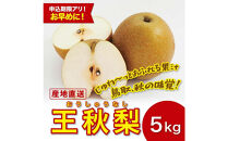 王秋梨&nbsp;5キロ【安田農園】