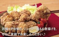 因幡っ子 ジューシー鶏もも唐揚げ 500g×6パック