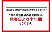 GINZA Global Style オーダースーツ商品券（21000円券）
