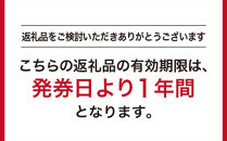 GINZA&nbsp;Global&nbsp;Style&nbsp;オーダースーツ商品券（21000円券）