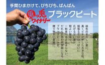ぶどう ブラックビート 1.5kg (進物用)