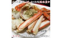 ※受付停止※松葉がに 訳あり (茹で) 大 800g前後×1枚 鳥取県産【フォーシーズン】