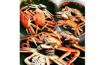 ※受付停止※セコガニ 訳あり (茹で) 8枚セット 鳥取県産【フォーシーズン】