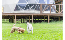 鳥取砂丘でグランピング体験 グランドーム砂優 ご宿泊割引券 2万円分