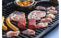 鳥取砂丘でグランピング体験 グランドーム砂優 ご宿泊割引券 2万円分