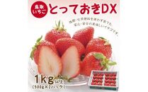 とっておきDX 1kg 鳥取いちご【とみハウス】