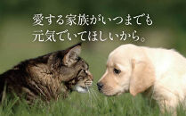 【鹿児島県大隅産】千歳鰻　うなぎの頭のペットフード　個包装　2袋計20個入り	