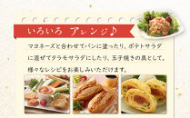 【最短3日発送】博多辛子めんたい粉 かねふく明太子使用のふりかけ (40g入×10袋)常温保存 井口食品 いのくち  常温 明太子 アレンジ  時短 料理 めんたいこ