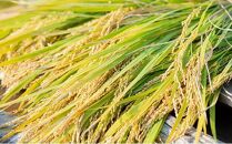 令和7年産&nbsp;備前乙女米&nbsp;10kg&nbsp;(&nbsp;白米5kg&nbsp;+&nbsp;玄米&nbsp;5kg&nbsp;）お米&nbsp;精米&nbsp;玄米&nbsp;ライス&nbsp;乳酸菌栽培&nbsp;岡山県&nbsp;石原果樹園