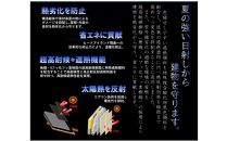 屋根遮熱塗装リフォーム券　50万円分