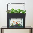 おさかな畑&nbsp;アクアスプラウトSV&nbsp;【ブラック】&nbsp;アクアポニックス&nbsp;水耕栽培&nbsp;キット（50HZ）