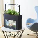 おさかな畑&nbsp;アクアスプラウトSV&nbsp;【ブラック】&nbsp;アクアポニックス&nbsp;水耕栽培&nbsp;キット（50HZ）