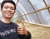 インドネシアのコーヒー農家からダイレクトトレード焙煎豆４種類セット