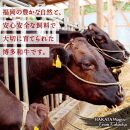 博多和牛　手ごねハンバーグ約150g×10個