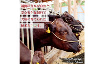 博多和牛&nbsp;カルビ焼肉(バラ)定期便全6回(約750g×6回)