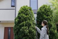 電池式噴霧器IR-N5