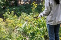 除草剤用電池式噴霧器IR-5A