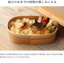 紀州塗り 曲げわっぱ 弁当箱（日田杉使用）被せ蓋［YS62］