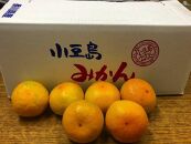 小豆島町フルーツ年3回定期便