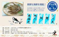「和食工房 東」お食事券6000円分（お土産付き）_2509R-1