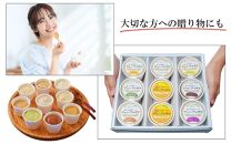まるでアイス！新感覚の“食べる甘酒スイーツ”アマン・アマザケ 8種9個入り_2533R