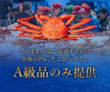 【蟹セレブ】ズワイガニ（紅ズワイガニ）1kg箱詰め（500g前後×2杯）