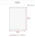 透明&nbsp;ビニールカーテン&nbsp;幅約180&nbsp;丈約250&nbsp;薄手&nbsp;間仕切り&nbsp;パーテーション&nbsp;ペットも通れる&nbsp;ペット出入り&nbsp;特大&nbsp;透明カーテン&nbsp;透明ビニールカーテン&nbsp;幅約180cm×長さ約250cm&nbsp;BYT1044780