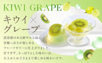 【期間限定8/10まで】◆ギフト包装対応◆ザ・スウィーツ&nbsp;フルフルフルーツゼリー(12個)［&nbsp;京都&nbsp;シャディ&nbsp;スイーツブランド&nbsp;THE&nbsp;SWEETS&nbsp;フルーツ&nbsp;ゼリー&nbsp;マンゴー&nbsp;ぶどう&nbsp;グレープフルーツ&nbsp;人気&nbsp;おすすめ&nbsp;詰め合わせ&nbsp;お菓子&nbsp;スイーツ&nbsp;おしゃれ&nbsp;ギフト&nbsp;プレゼント&nbsp;お取り寄せ&nbsp;通販&nbsp;送料無料&nbsp;ふるさと納税&nbsp;］