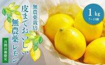 【30箱限定】皮まで美味しい無農薬レモン　1kg