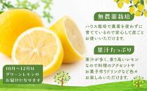 【20限定】皮まで美味しい無農薬レモン 約2kg【瀬戸田 瀬戸田レモン 檸檬 瀬戸内レモン フルーツ 柑橘 シトラス 無農薬 有機肥料 防腐剤不使用 レモネード はちみつ 尾道市 広島】
