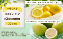 【20限定】皮まで美味しい無農薬レモン 約2kg【瀬戸田 瀬戸田レモン 檸檬 瀬戸内レモン フルーツ 柑橘 シトラス 無農薬 有機肥料 防腐剤不使用 レモネード はちみつ 尾道市 広島】