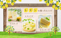 【20限定】皮まで美味しい農薬不使用レモン&nbsp;約2kg【栽培期間中農薬不使用&nbsp;瀬戸田&nbsp;瀬戸田レモン&nbsp;檸檬&nbsp;瀬戸内レモン&nbsp;フルーツ&nbsp;柑橘&nbsp;シトラス&nbsp;&nbsp;有機肥料&nbsp;防腐剤不使用&nbsp;レモネード&nbsp;尾道市&nbsp;広島】