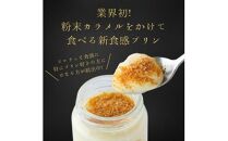 プリン専門店Totto PURIN プリン食べ比べ6個セット
