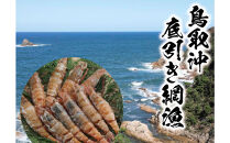 鳥取県産&nbsp;生食用もさ海老&nbsp;山田屋