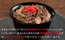 とりちく牛丼の素 8個